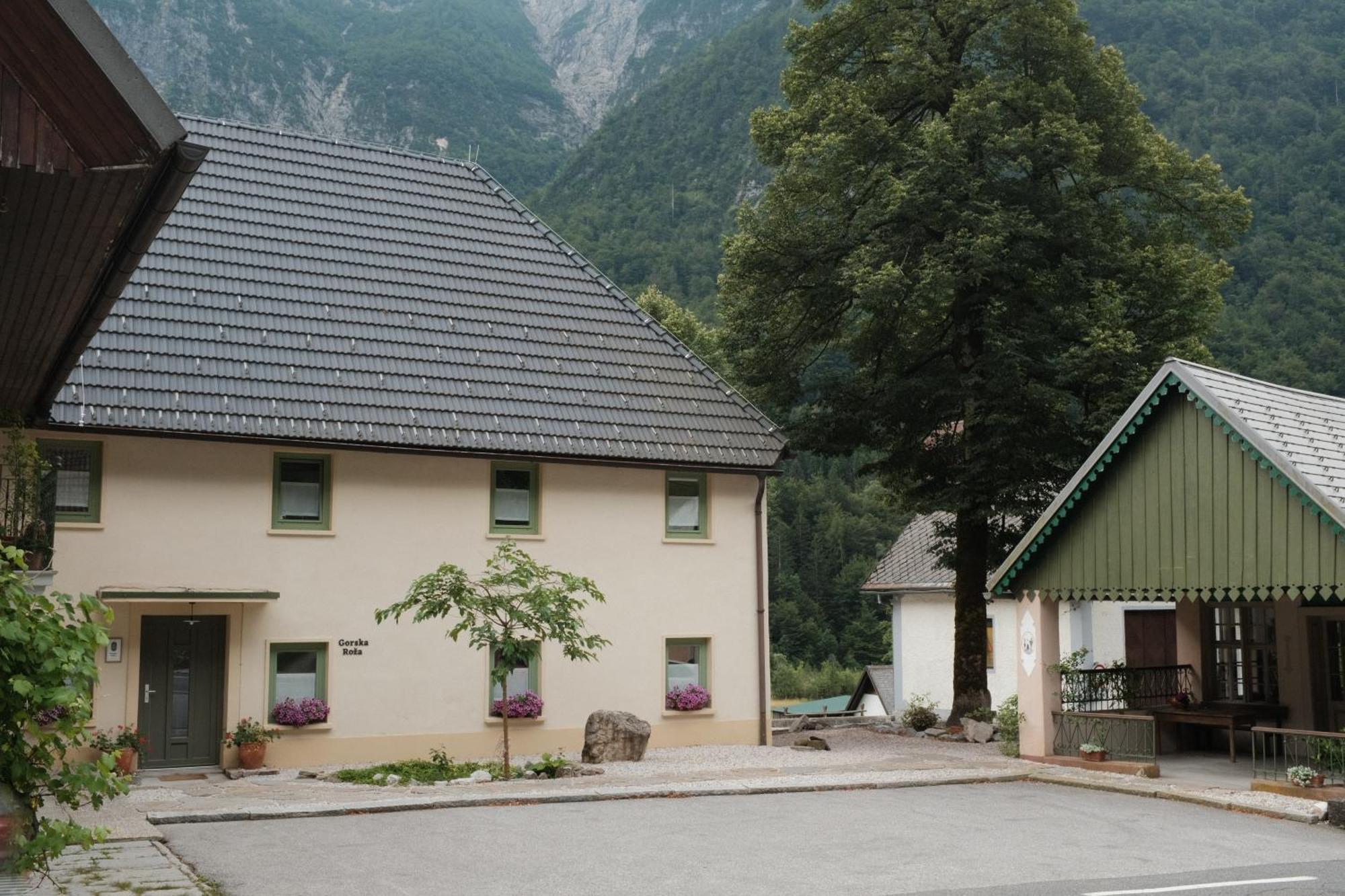 Gorska Roza Bed & Breakfast Log pod Mangartom Exterior photo